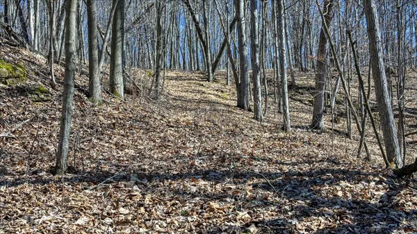 $300,000 | E17497 Gross Valley Road, Hillsboro, WI 54634