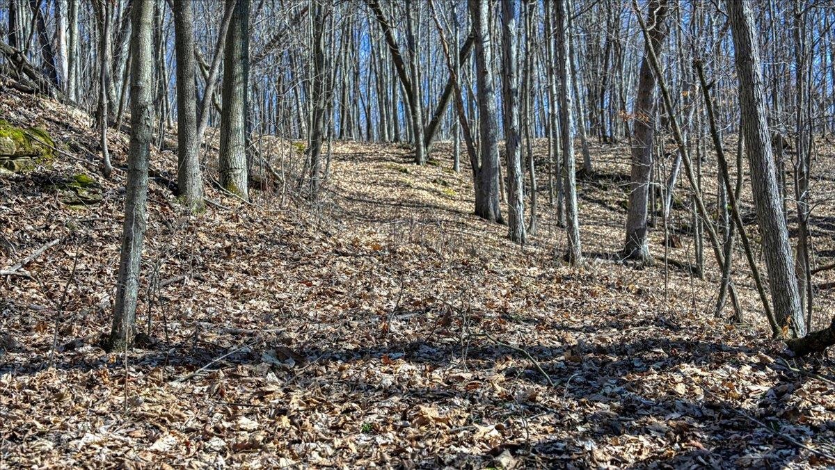 E17497 Gross Valley Road Hillsboro, WI 54634 - Photo 26 of 55