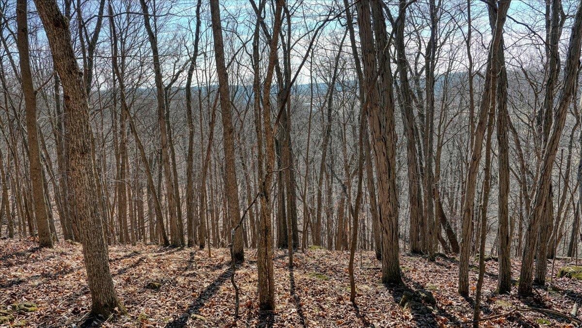 E17497 Gross Valley Road Hillsboro, WI 54634 - Photo 28 of 55