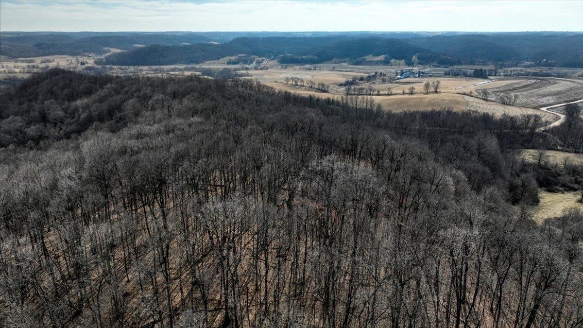 E17497 Gross Valley Road Hillsboro, WI 54634 - Photo 29 of 55