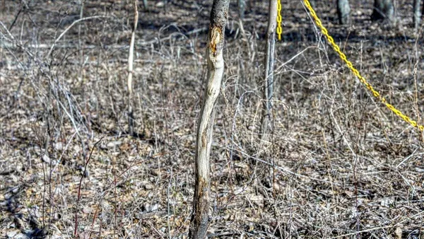 $300,000 | E17497 Gross Valley Road, Hillsboro, WI 54634