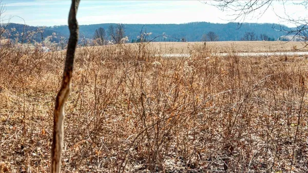 $300,000 | E17497 Gross Valley Road, Hillsboro, WI 54634