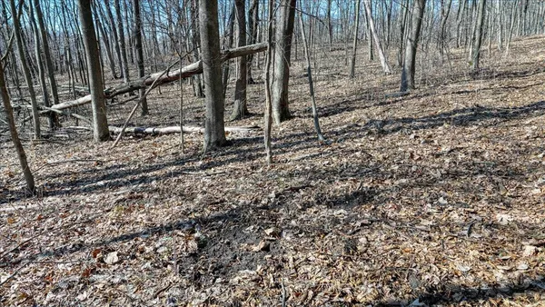 $300,000 | E17497 Gross Valley Road, Hillsboro, WI 54634