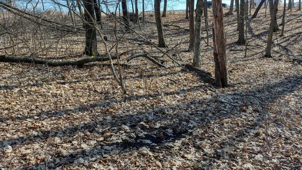 $300,000 | E17497 Gross Valley Road, Hillsboro, WI 54634