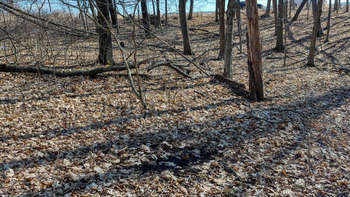 E17497 Gross Valley Road Hillsboro, WI 54634 - Photo 34 of 55