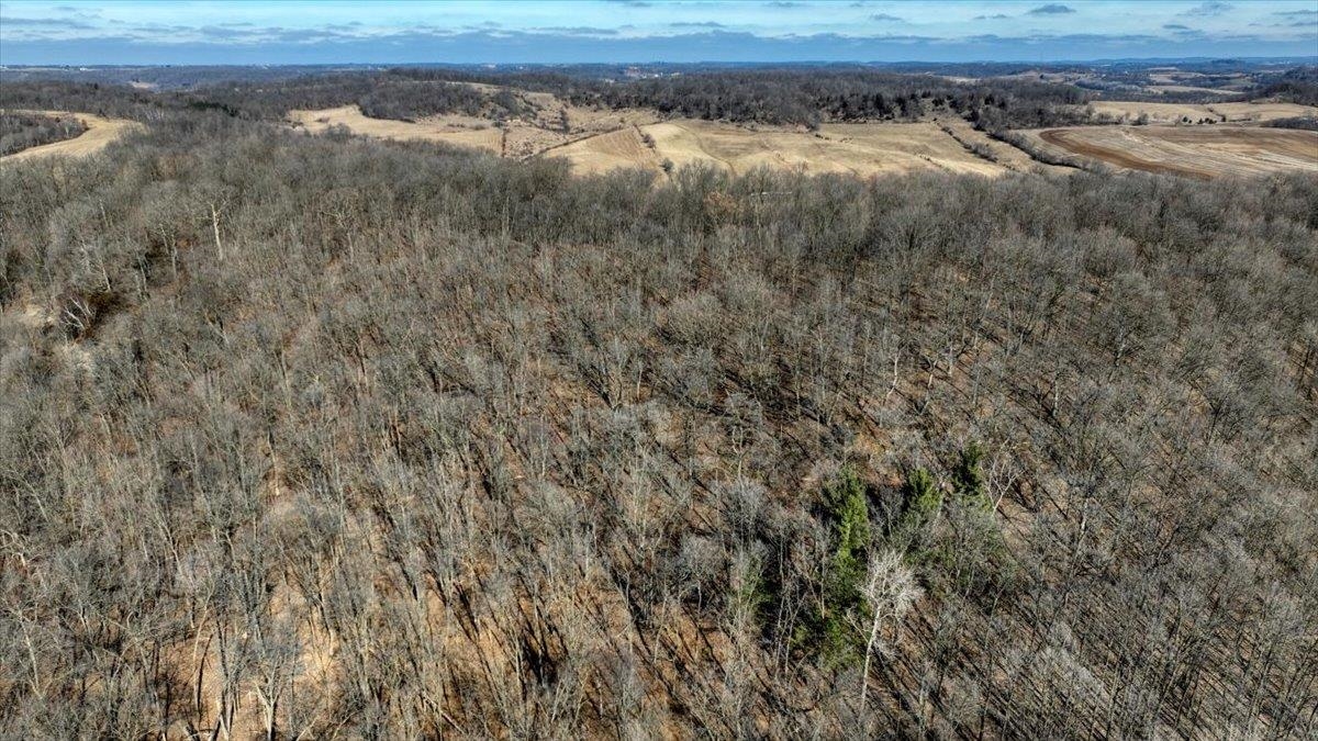 E17497 Gross Valley Road Hillsboro, WI 54634 - Photo 36 of 55