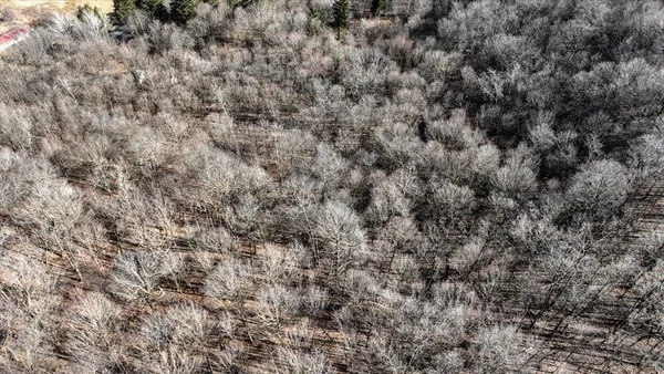 $300,000 | E17497 Gross Valley Road, Hillsboro, WI 54634