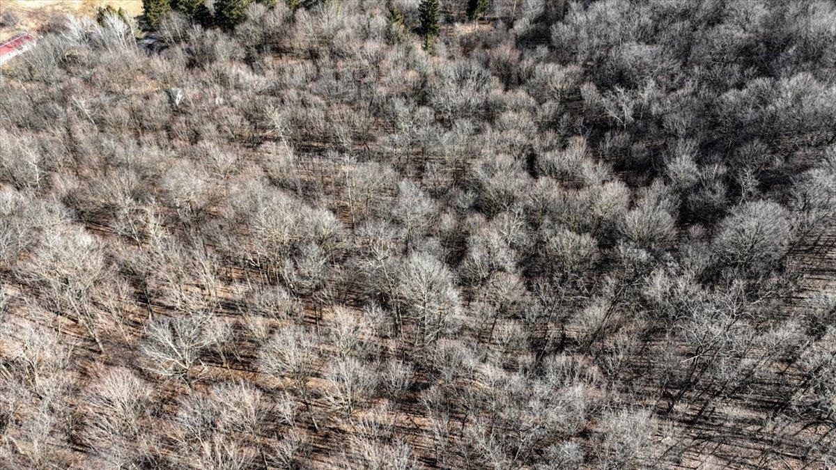 E17497 Gross Valley Road Hillsboro, WI 54634 - Photo 37 of 55