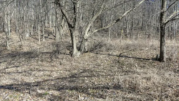 $300,000 | E17497 Gross Valley Road, Hillsboro, WI 54634