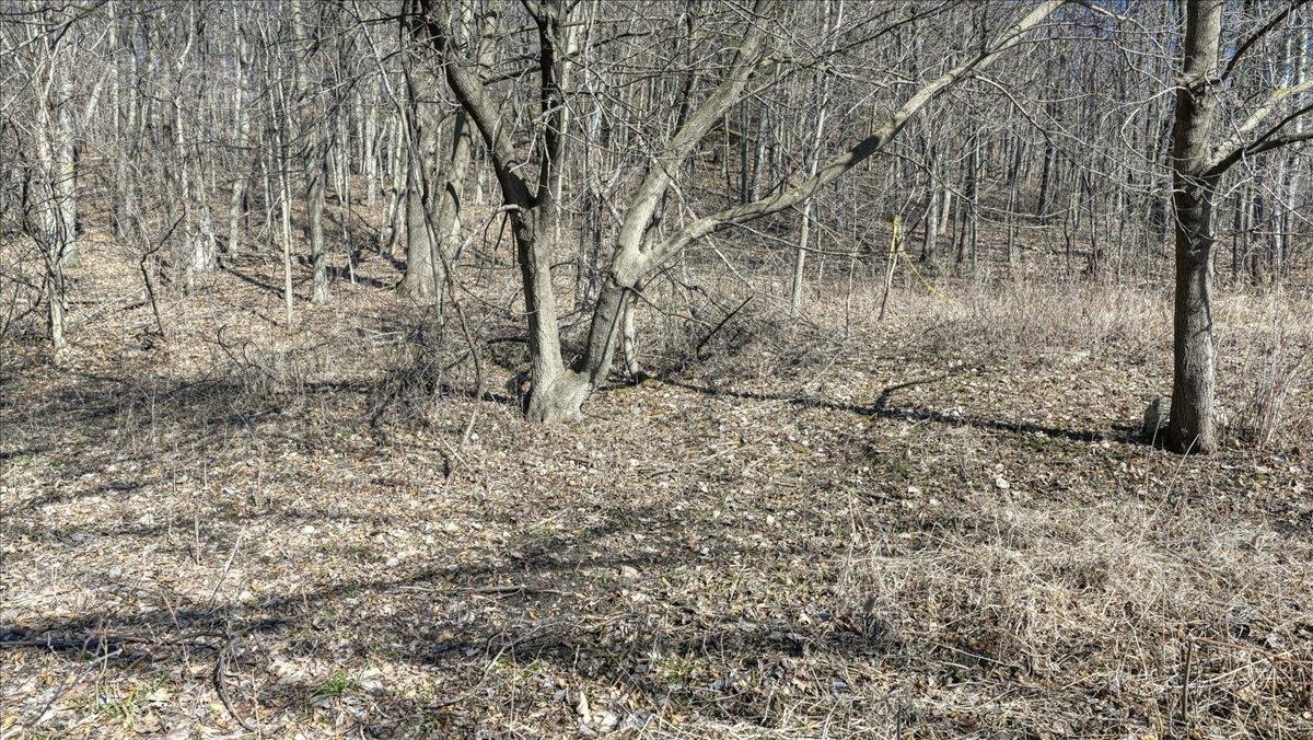 E17497 Gross Valley Road Hillsboro, WI 54634 - Photo 38 of 55