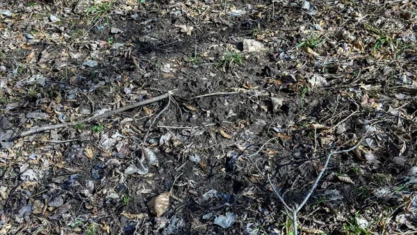 $300,000 | E17497 Gross Valley Road, Hillsboro, WI 54634