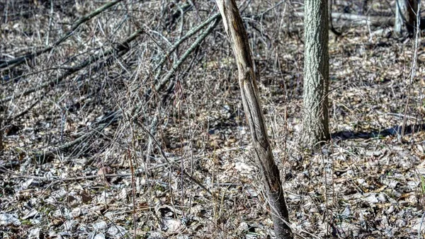 $300,000 | E17497 Gross Valley Road, Hillsboro, WI 54634