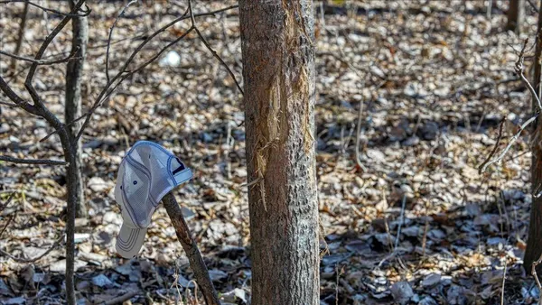 $300,000 | E17497 Gross Valley Road, Hillsboro, WI 54634