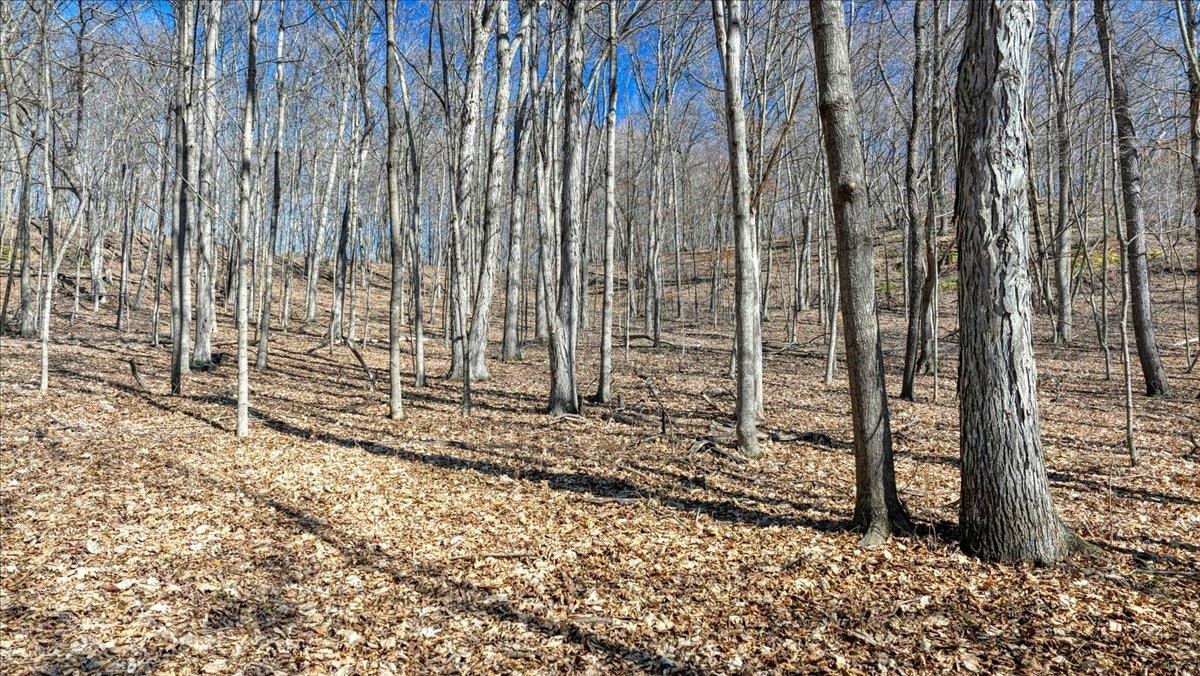 E17497 Gross Valley Road Hillsboro, WI 54634 - Photo 42 of 55