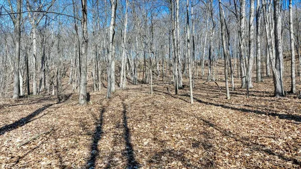 $300,000 | E17497 Gross Valley Road, Hillsboro, WI 54634