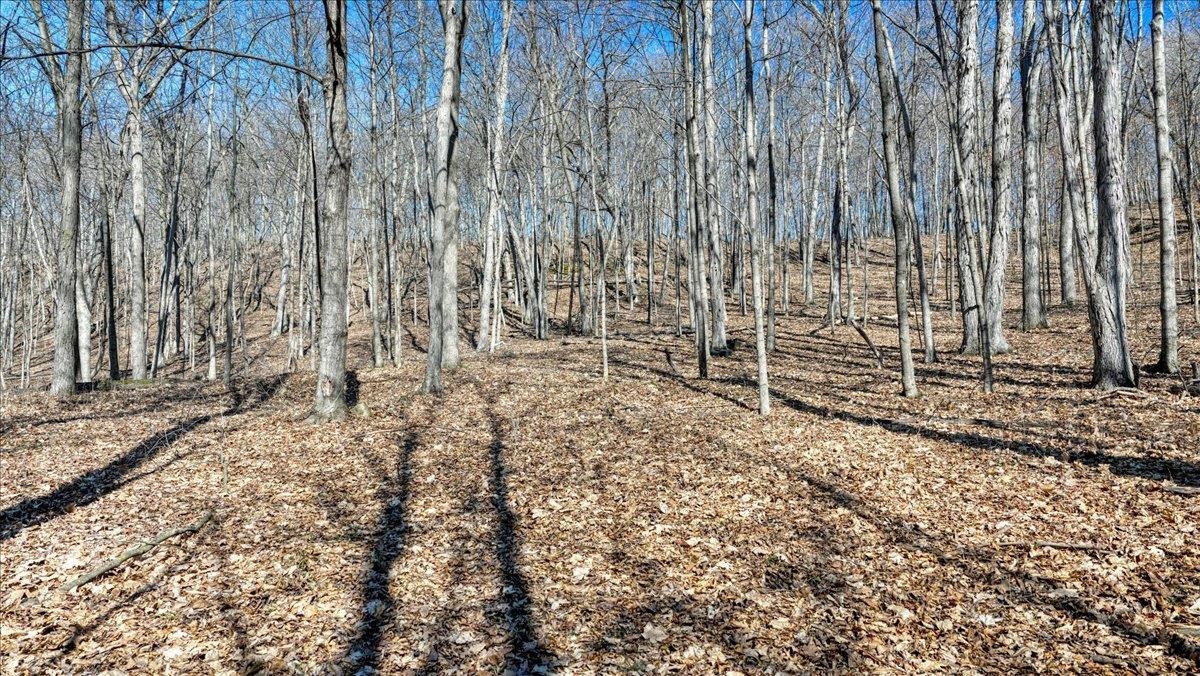 E17497 Gross Valley Road Hillsboro, WI 54634 - Photo 43 of 55