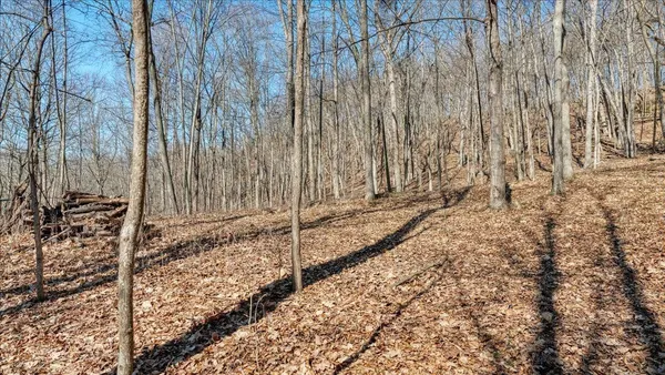 $300,000 | E17497 Gross Valley Road, Hillsboro, WI 54634