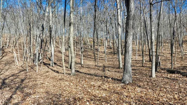 $300,000 | E17497 Gross Valley Road, Hillsboro, WI 54634