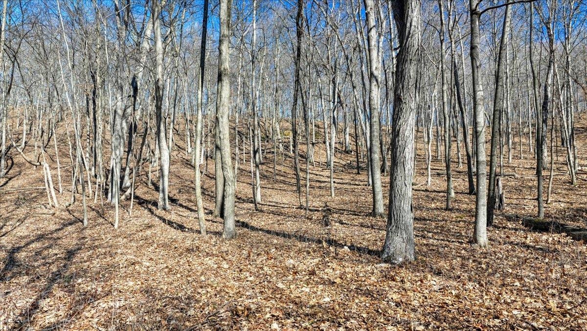 E17497 Gross Valley Road Hillsboro, WI 54634 - Photo 45 of 55