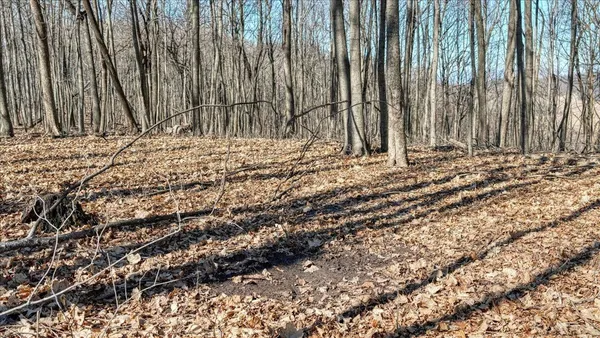 $300,000 | E17497 Gross Valley Road, Hillsboro, WI 54634