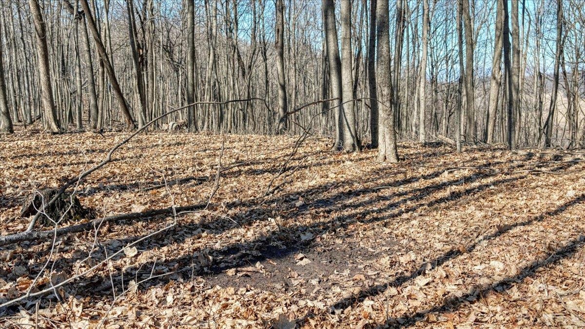 E17497 Gross Valley Road Hillsboro, WI 54634 - Photo 46 of 55