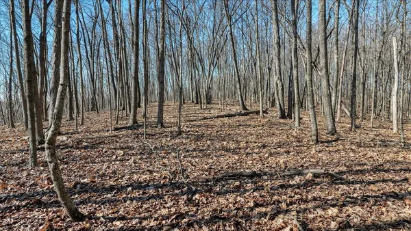 $300,000 | E17497 Gross Valley Road, Hillsboro, WI 54634