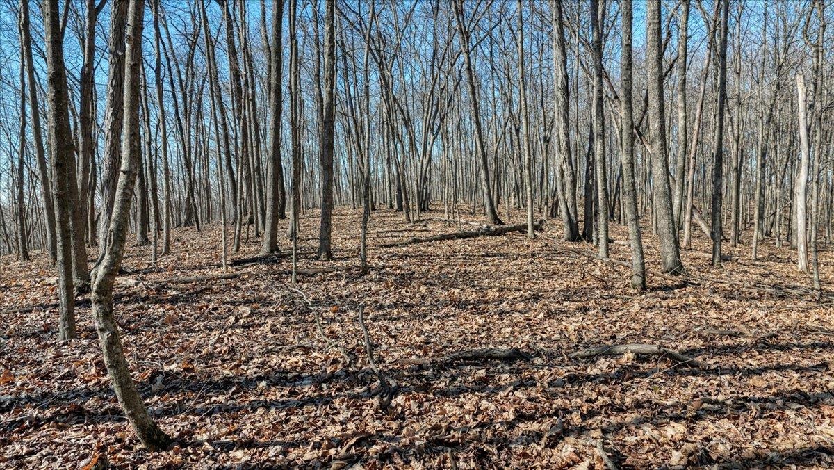 E17497 Gross Valley Road Hillsboro, WI 54634 - Photo 47 of 55