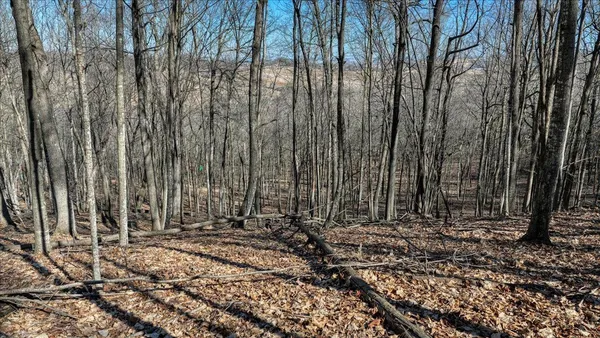 $300,000 | E17497 Gross Valley Road, Hillsboro, WI 54634