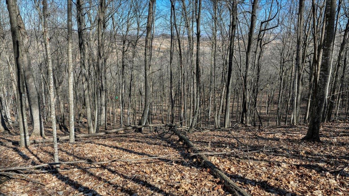 E17497 Gross Valley Road Hillsboro, WI 54634 - Photo 48 of 55