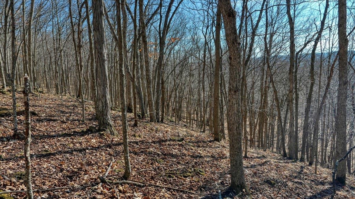 E17497 Gross Valley Road Hillsboro, WI 54634 - Photo 50 of 55