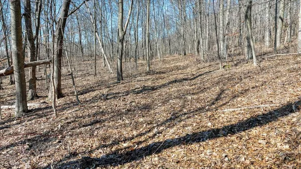 $300,000 | E17497 Gross Valley Road, Hillsboro, WI 54634