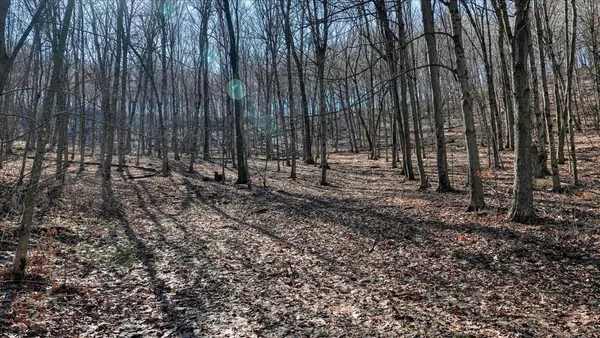 $300,000 | E17497 Gross Valley Road, Hillsboro, WI 54634