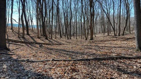 $300,000 | E17497 Gross Valley Road, Hillsboro, WI 54634