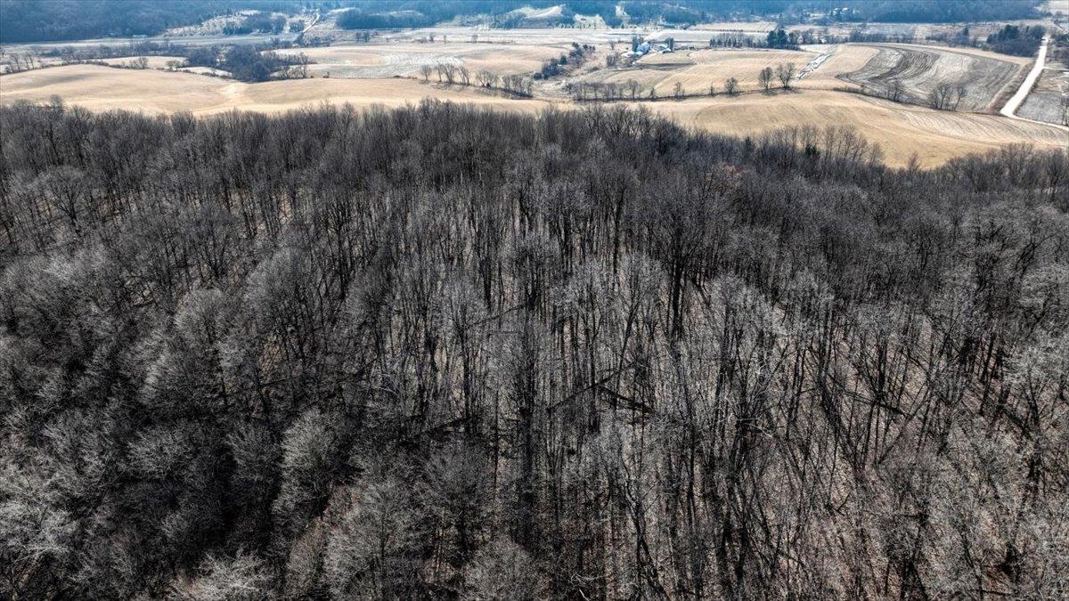 E17497 Gross Valley Road Hillsboro, WI 54634 - Photo 7 of 55