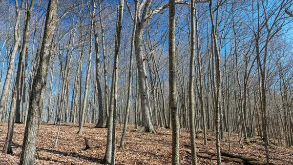 $300,000 | E17497 Gross Valley Road, Hillsboro, WI 54634