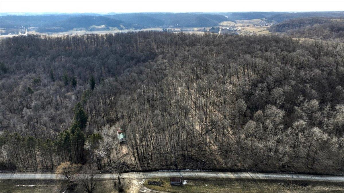 E17497 Gross Valley Road Hillsboro, WI 54634 - Photo 10 of 55