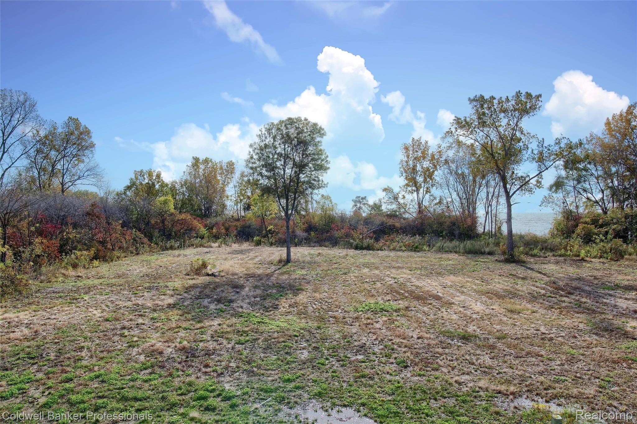 4250 Brest Road Newport, MI 48166 - Photo 23 of 32 24-View-of-Backyard.jpg