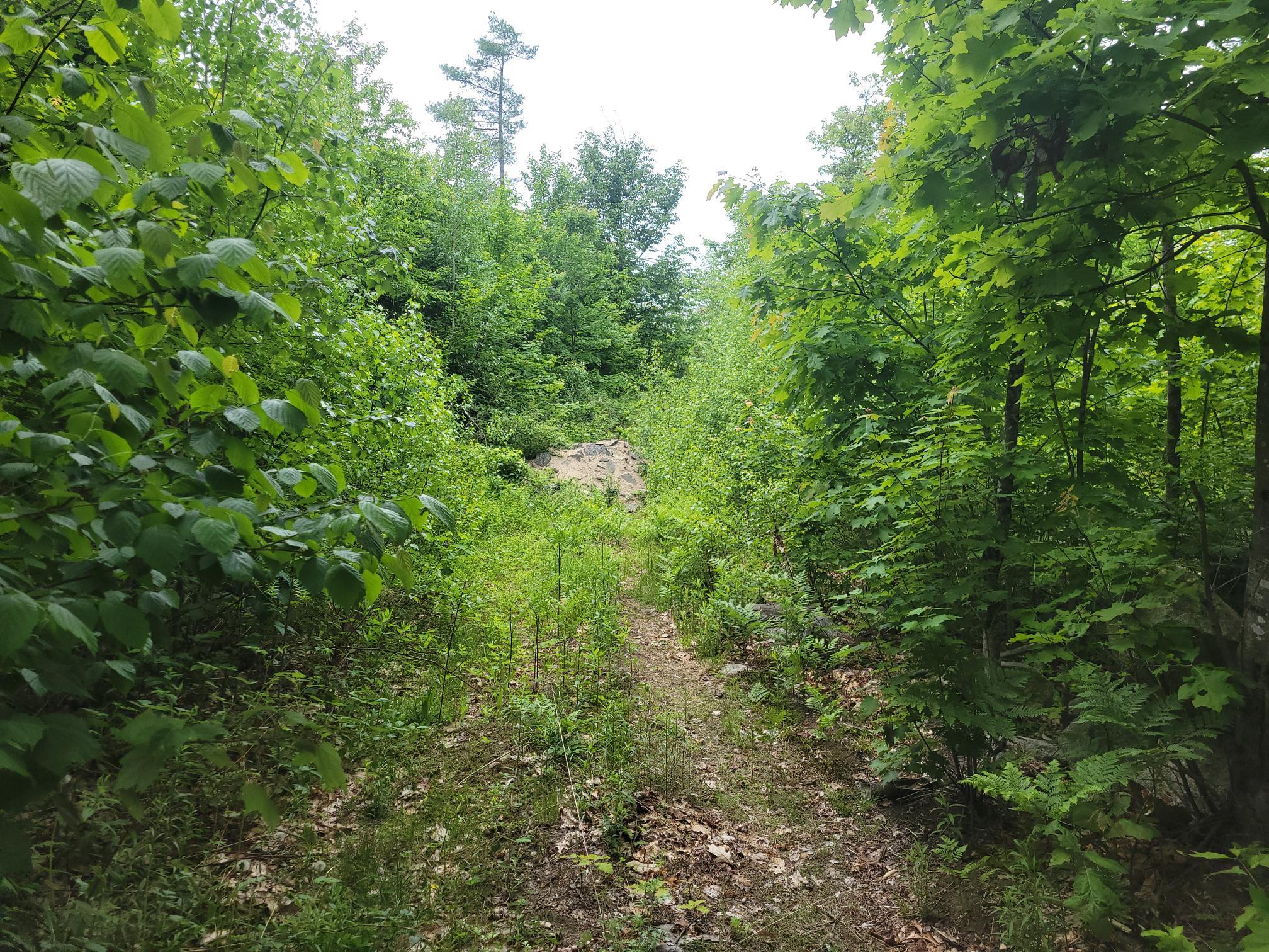 M9-lot2 Jordan Road Mechanic Falls, ME 04256 - Photo 3 of 7 Old ATV trail