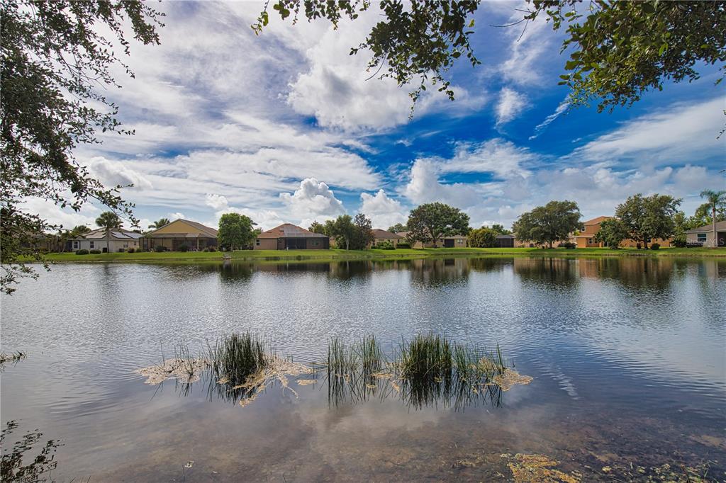 5288 Layton Drive Venice, FL 34293 - Photo 61 of 75 a view of a lake with houses in outdoor space
