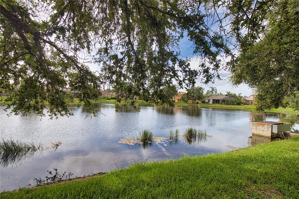5288 Layton Drive Venice, FL 34293 - Photo 64 of 75 a view of a lake with houses in the back