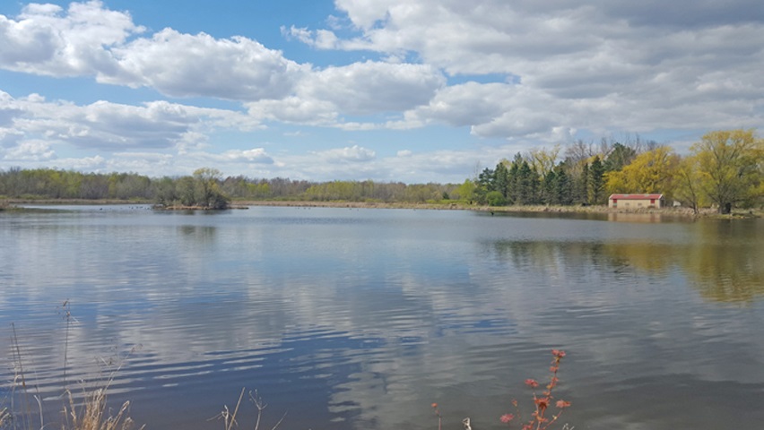 33.34-acres County Rd V Spencer, WI 54479 - Photo 1 of 1