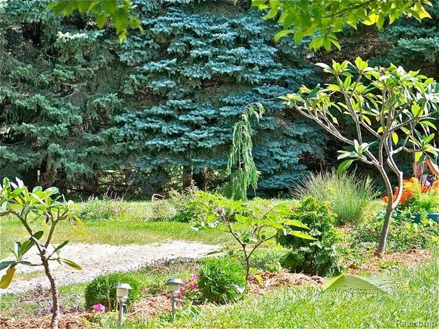 3343 East Clarkston Road Oakland, MI 48363 - Photo 8 of 15 image002.jpg