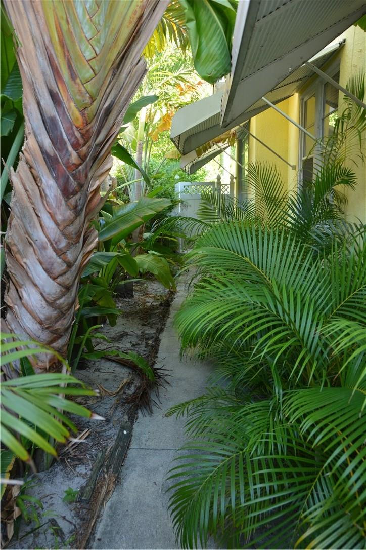 1719 Adams Street Hollywood, FL 33020 - Photo 19 of 29 a view of a garden