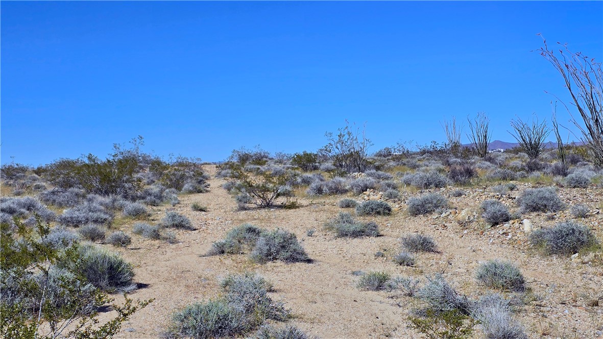 208-21-166 South Akchin Road Yucca, AZ 86438 - Photo 8 of 16 a view of a dry field with trees in the background