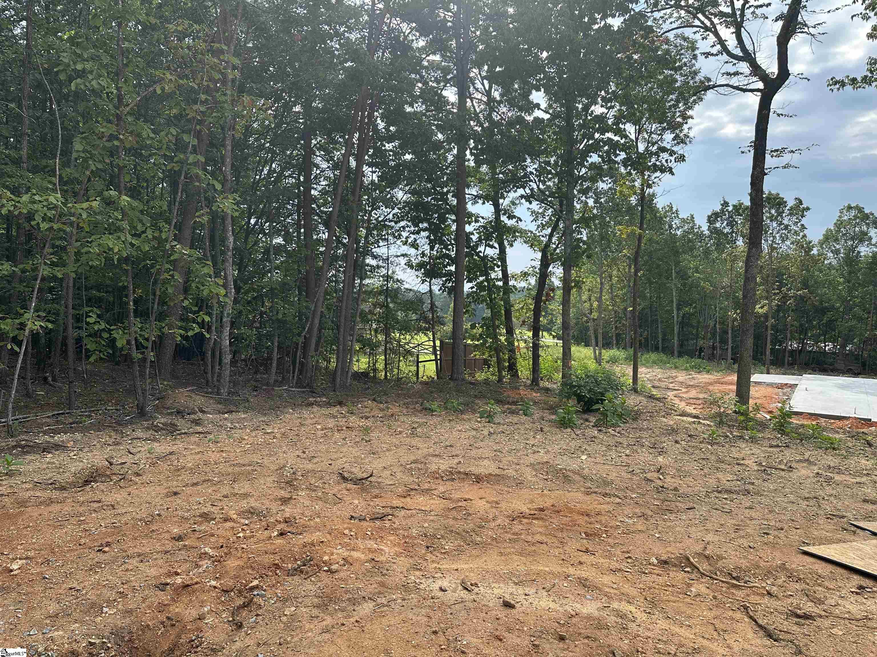 4585 Hawkins Road Greer, SC 29651 - Photo 5 of 21