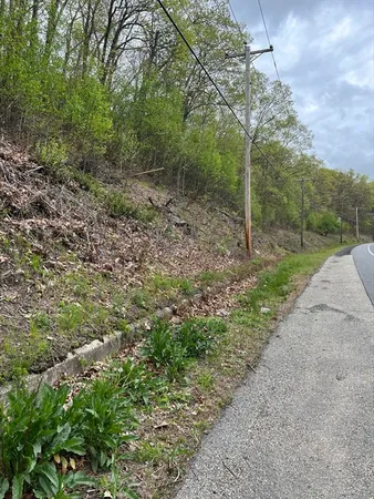 a view of a forest with trees