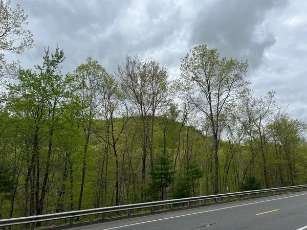 a view of a yard from a window