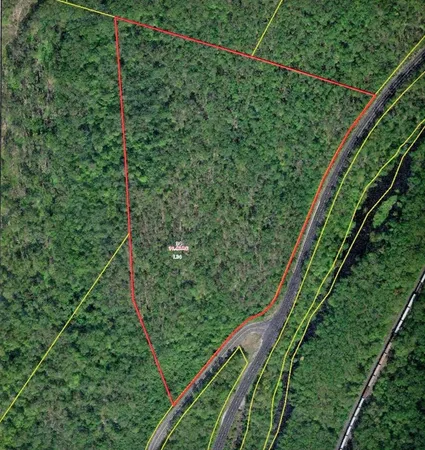 a view of a yard with a plant