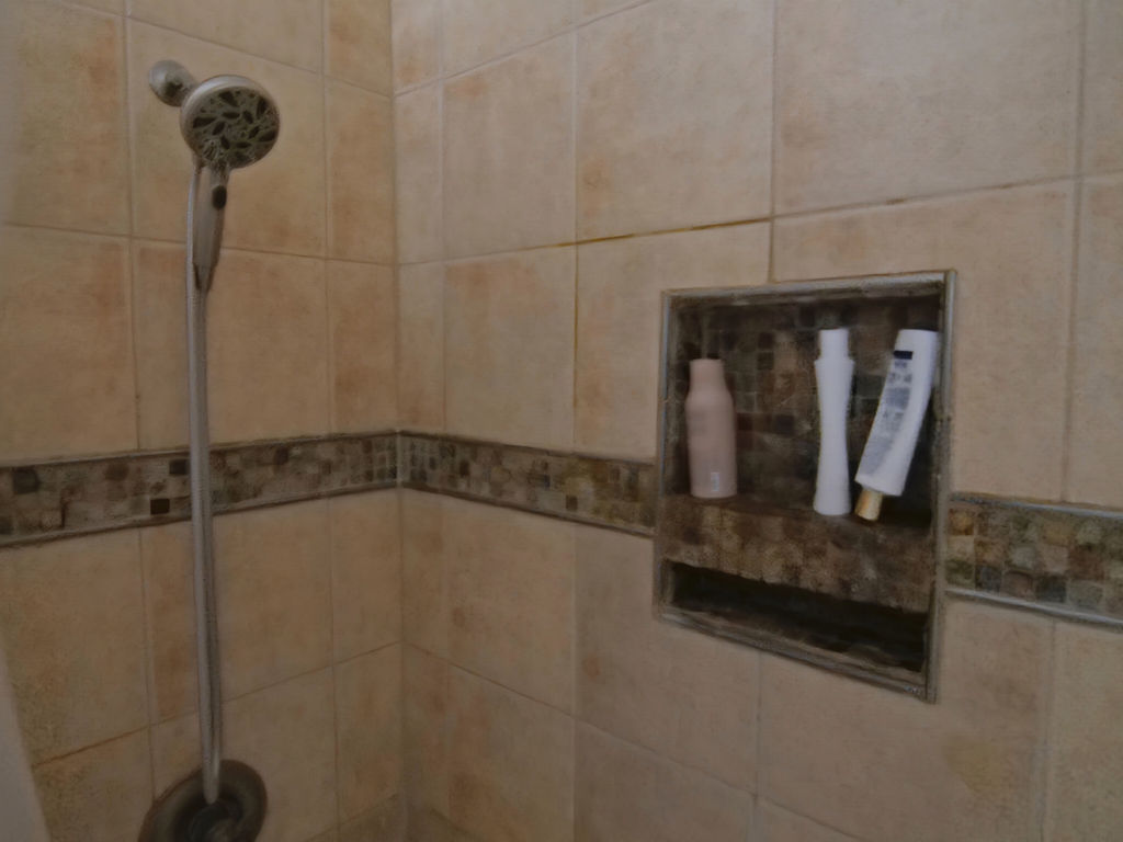 11 Kennedy Court Philo, IL 61864 - Photo 19 of 35 a bathroom with a shower