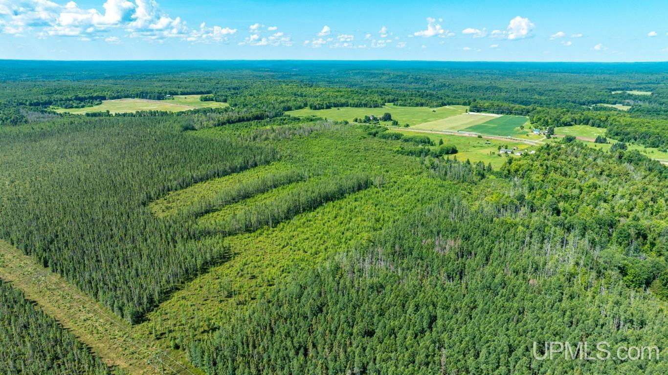 16995 Grist Mill Road Baraga, MI 49908 - Photo 55 of 58